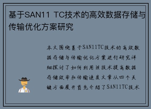 基于SAN11 TC技术的高效数据存储与传输优化方案研究
